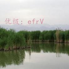 ½