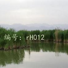 벻